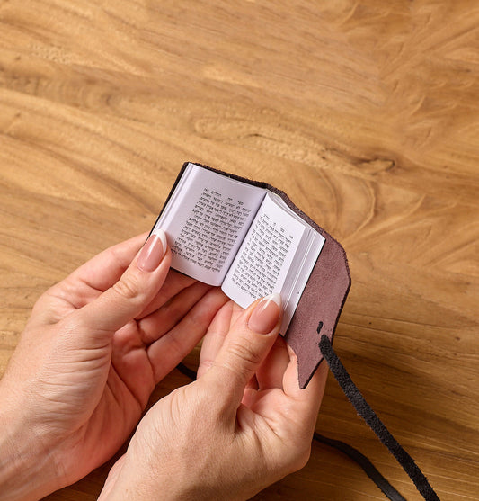 Mini Tehillim